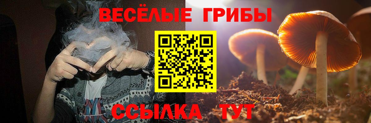 Псилоцибиновые грибы прущие грибы Грязи